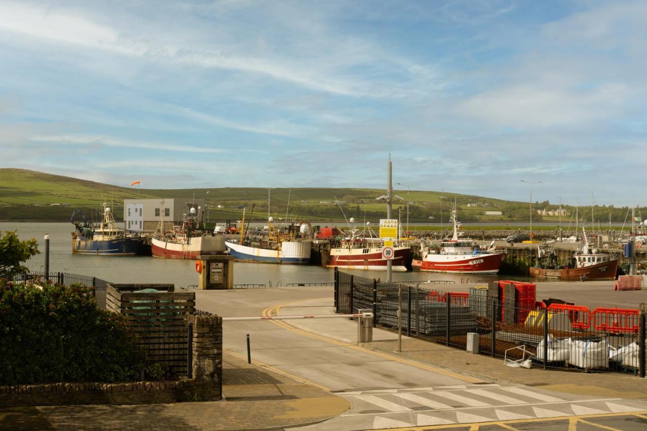 The Quayside B&B Dingle Exterior photo