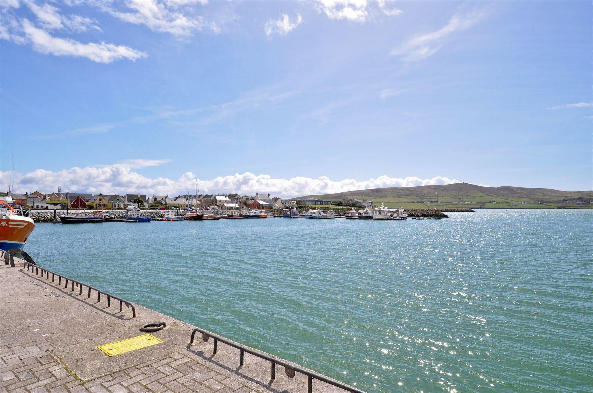 The Quayside B&B Dingle Exterior photo